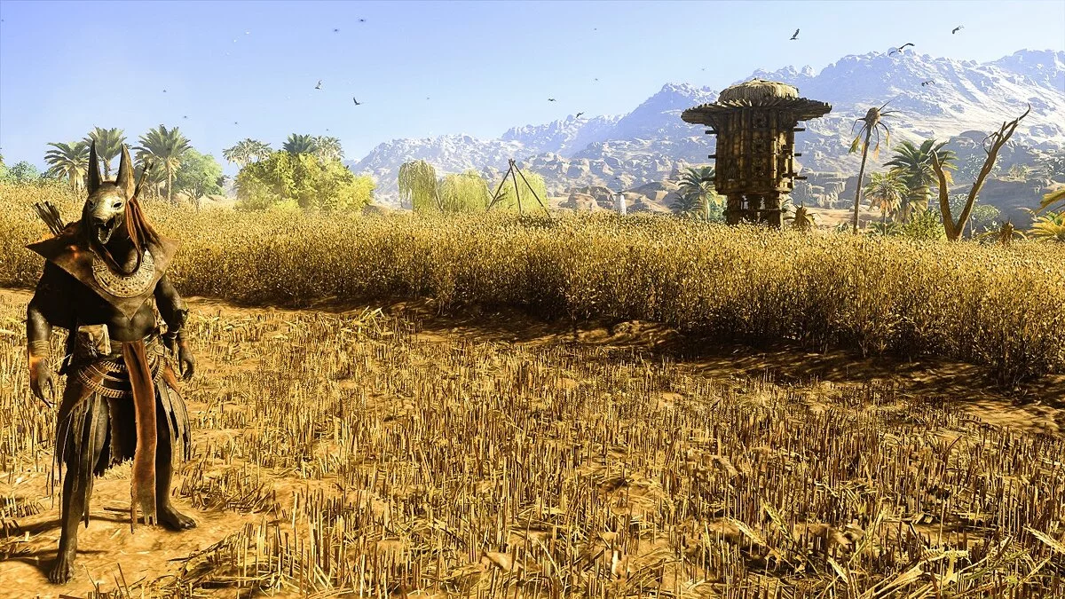 Assassin&#039;s Creed: Origins — Кинематографическая графика