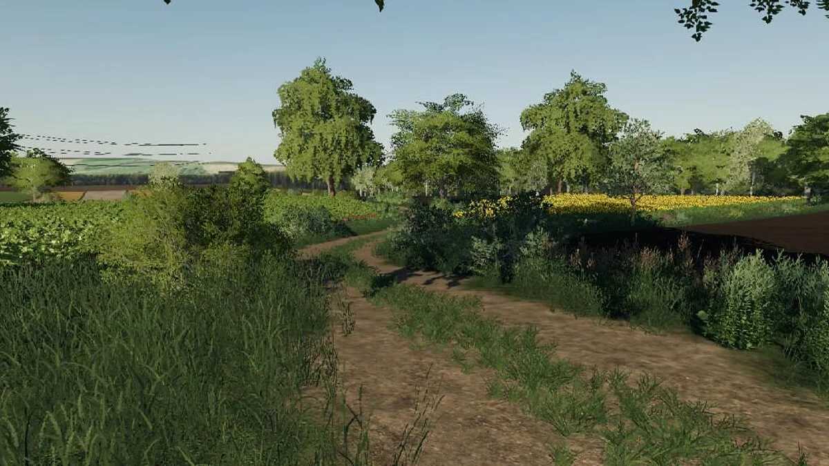 Farming Simulator 19 — Карта Starowies Map v2.0.0.0