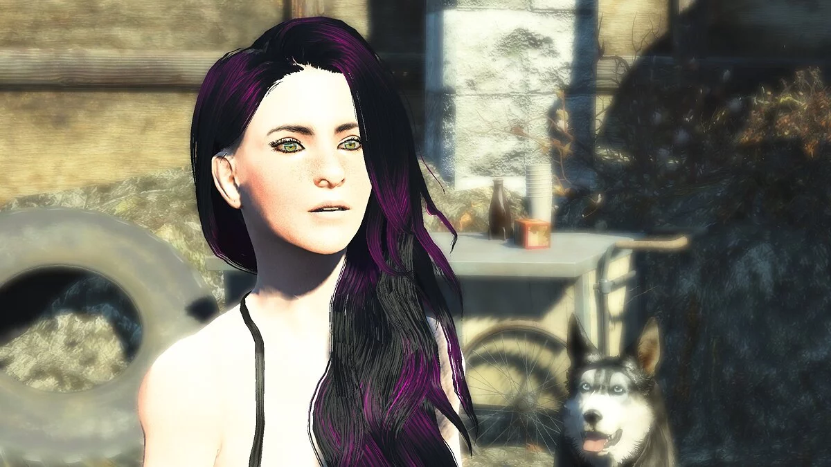 Fallout 4: Game of the Year Edition — Миниатюрный пресет для тела