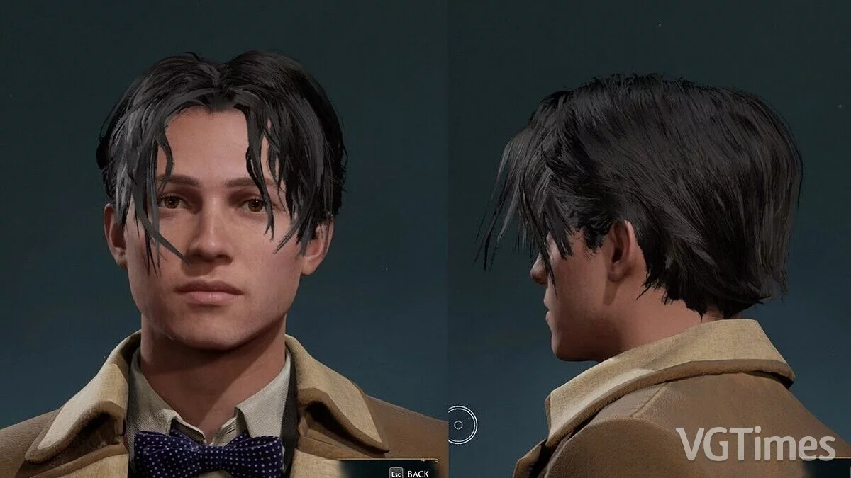 Hogwarts Legacy — Растрепанные волосы