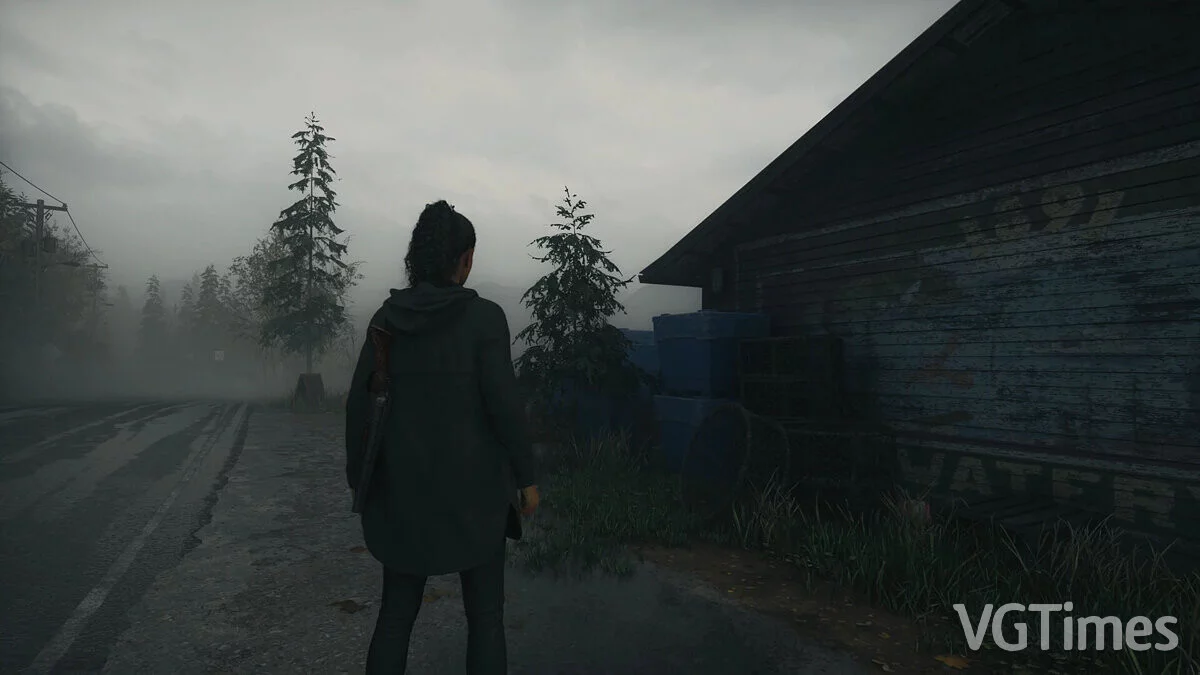 Alan Wake 2 — Меньше размытия