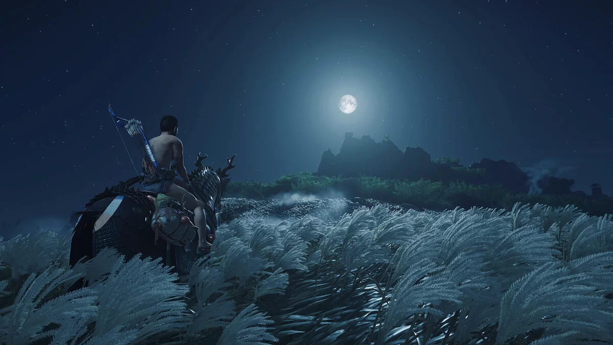 Ghost of Tsushima: Director's Cut — Пройдено на 100 процентов