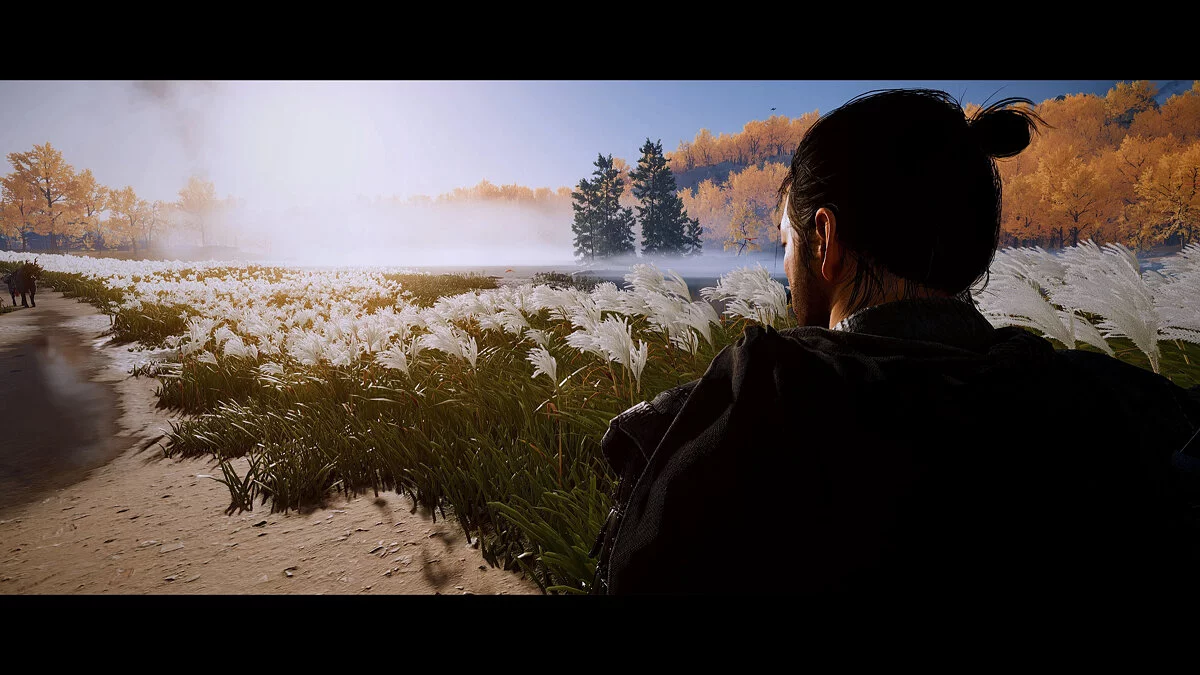 Ghost of Tsushima: Director's Cut — Реалистичные цвета