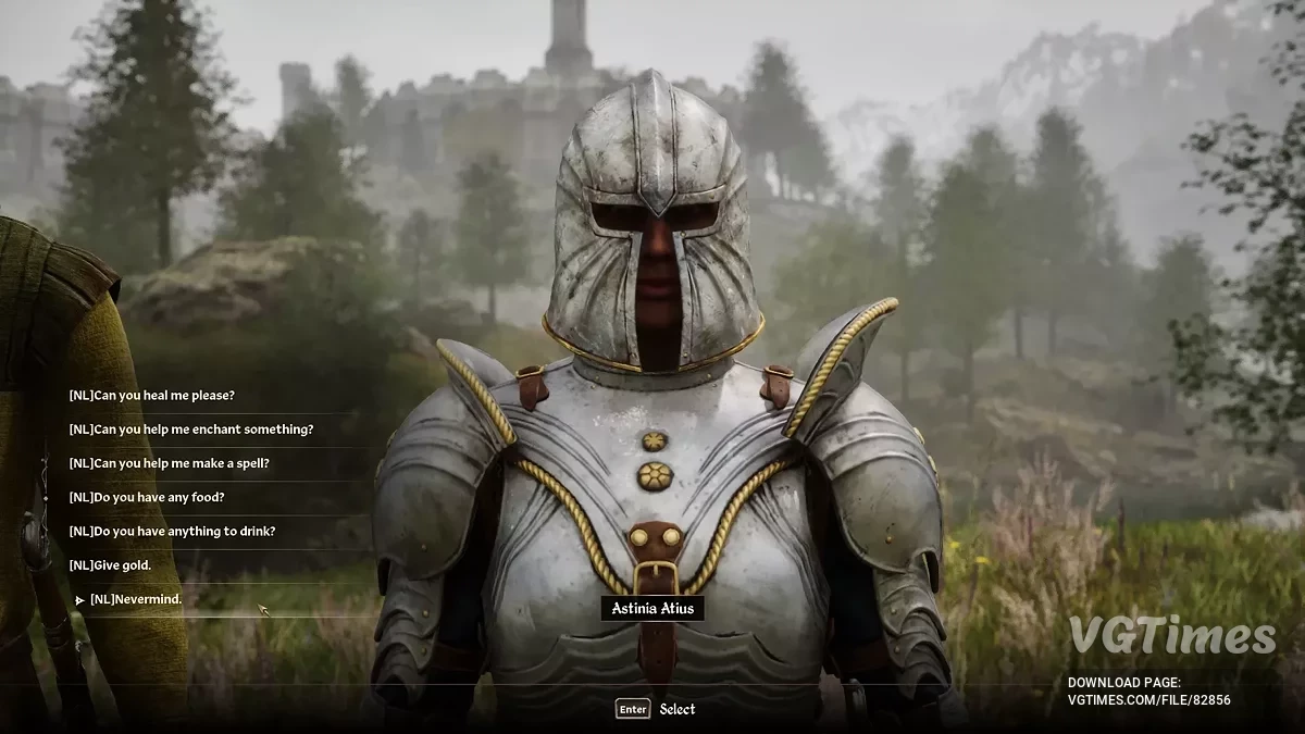 The Elder Scrolls 4: Oblivion Remastered — Расширенное взаимодействие с последователями