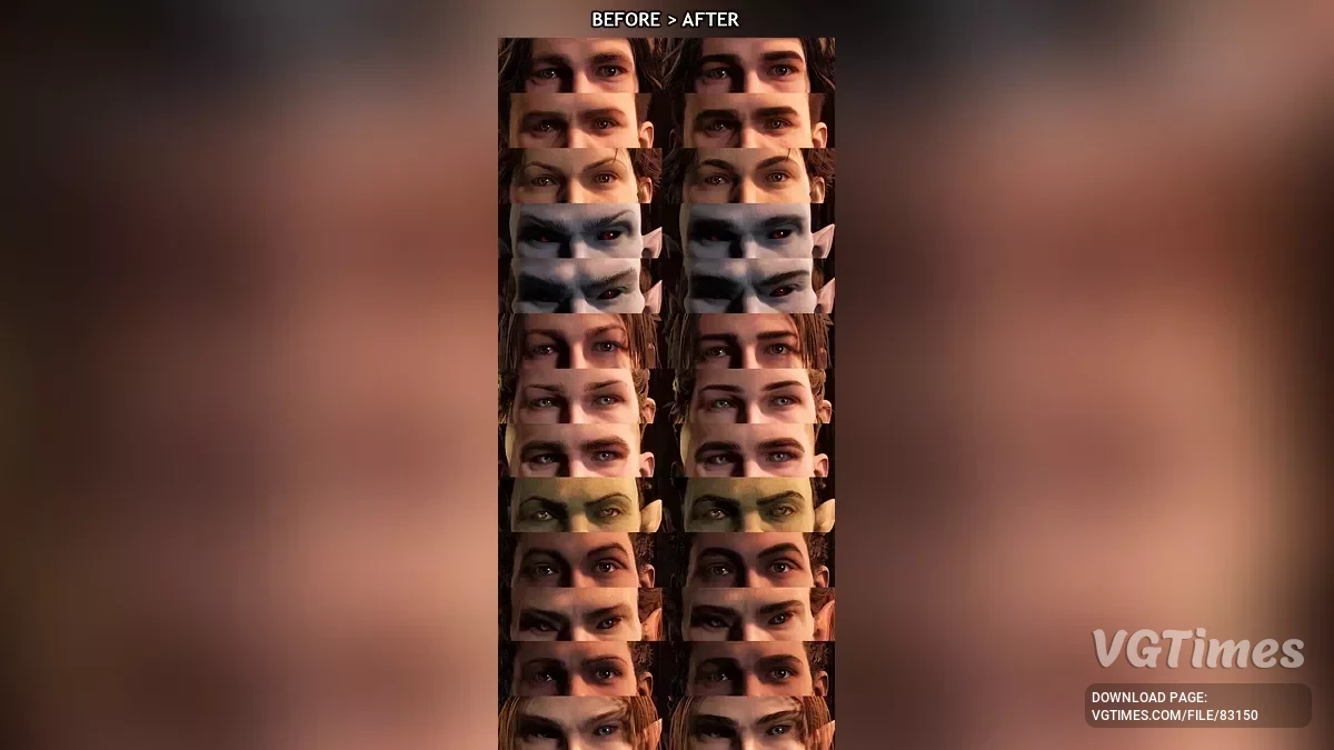 The Elder Scrolls 4: Oblivion Remastered — Ретекстур бровей