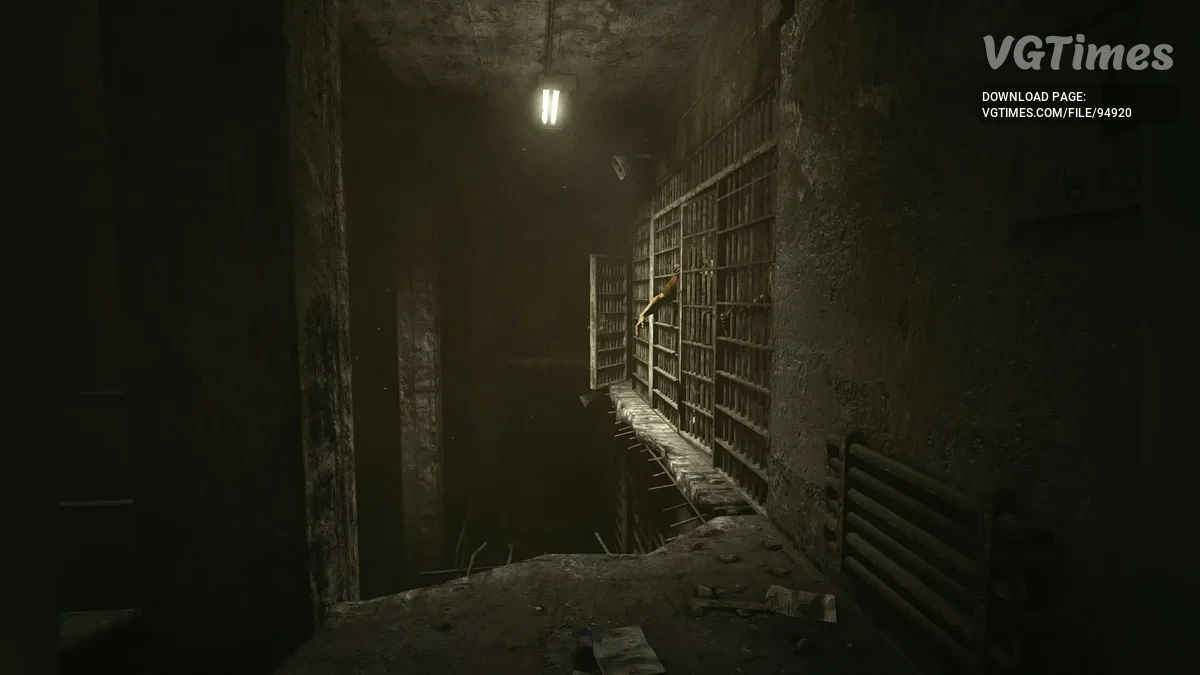 Outlast — Сохранение [Лицензия Steam]