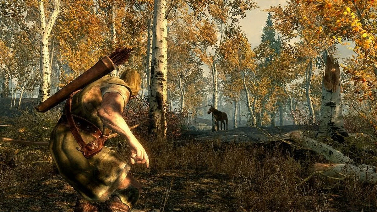 Скриншоты из The Elder Scrolls 5: Skyrim / Картинка 34
