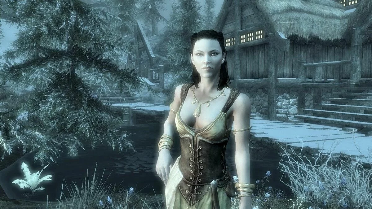 Скриншоты из The Elder Scrolls 5: Skyrim / Картинка 62