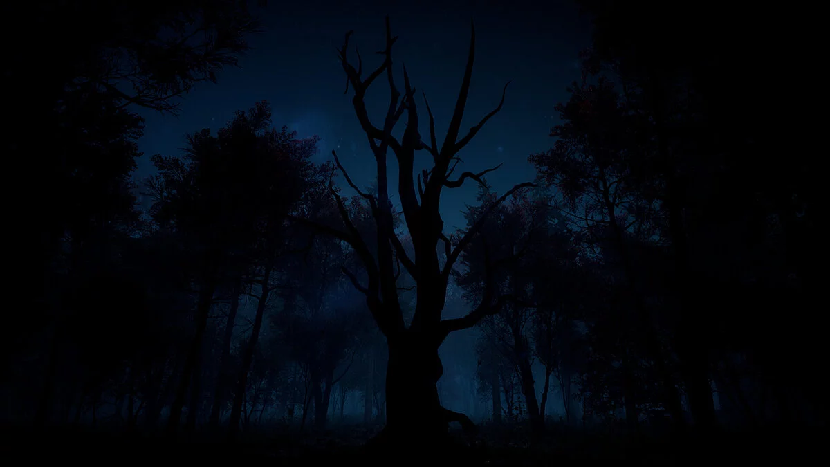 Скриншоты из Slender: The Arrival / Картинка 49