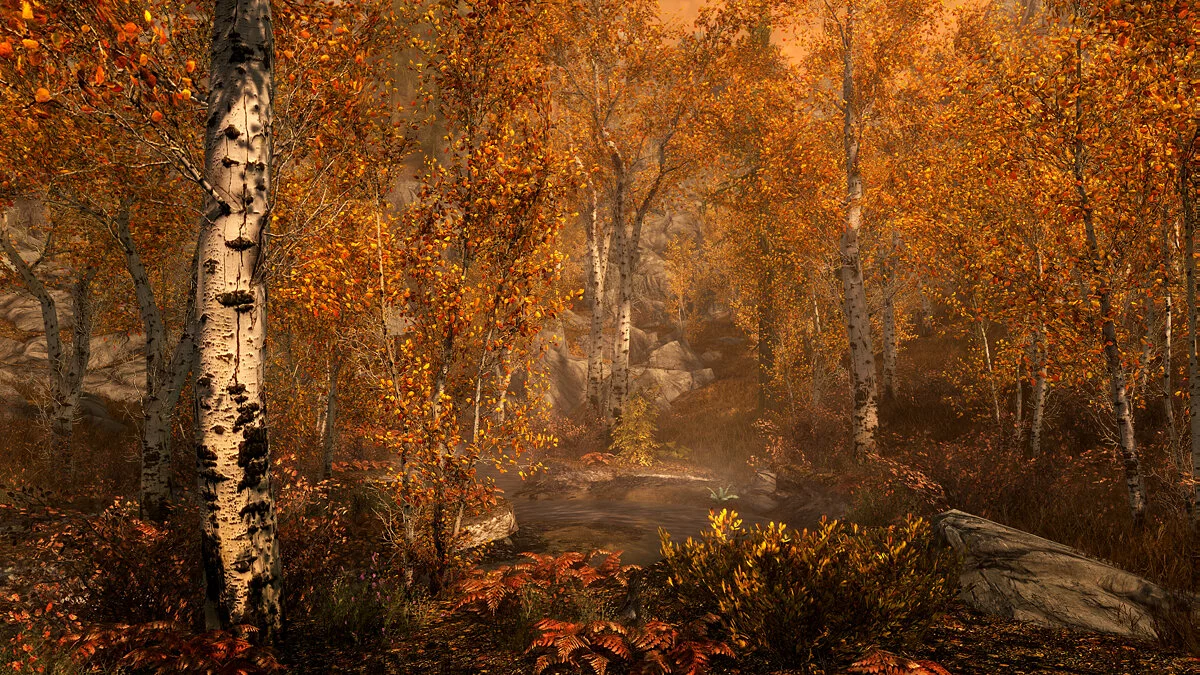 Скриншоты из Elder Scrolls 5: Skyrim Special Edition / Картинка 9