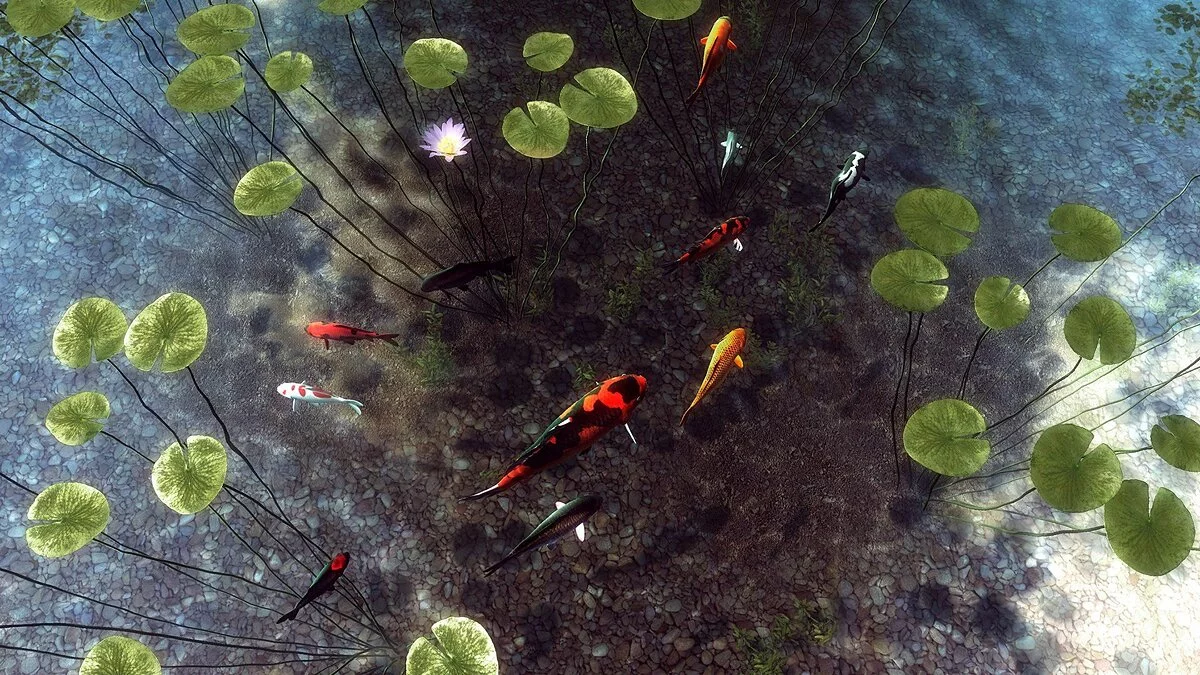 Картинка из 