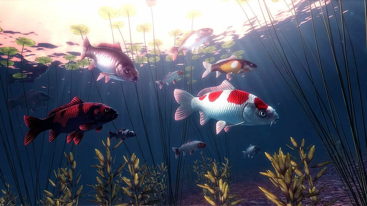 Картинка из 