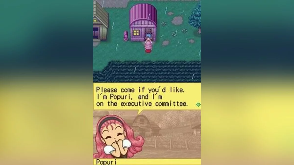 Скриншоты из Harvest Moon DS / Картинка 1