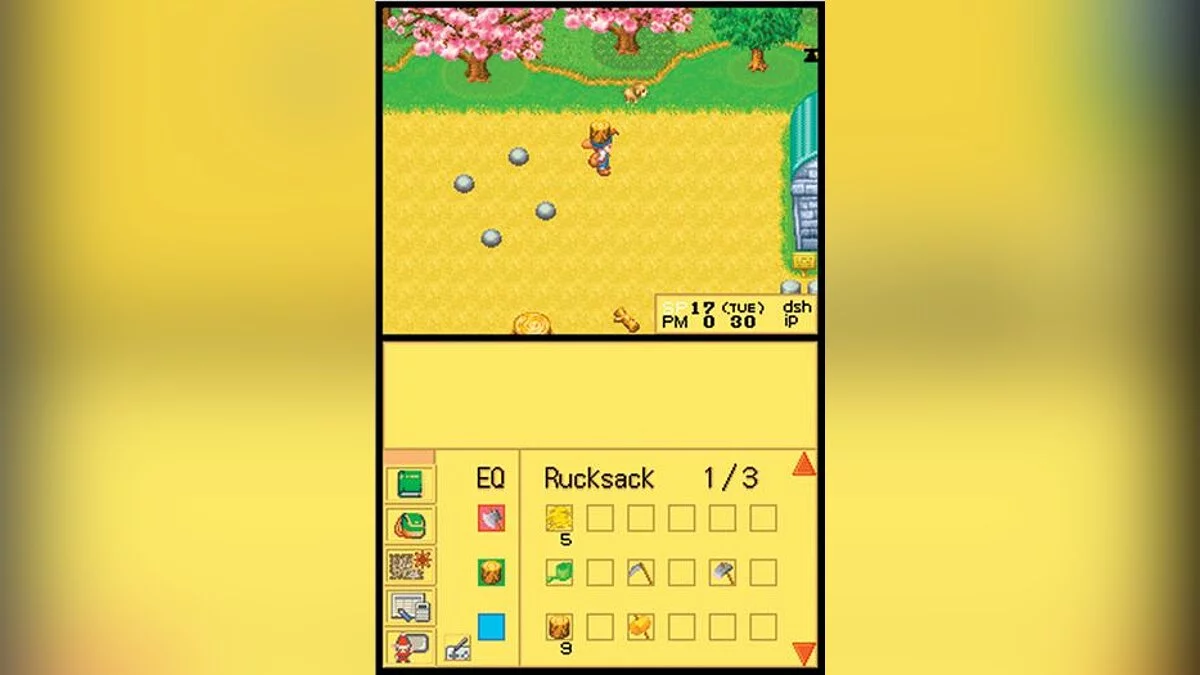 Скриншоты из Harvest Moon DS / Картинка 5