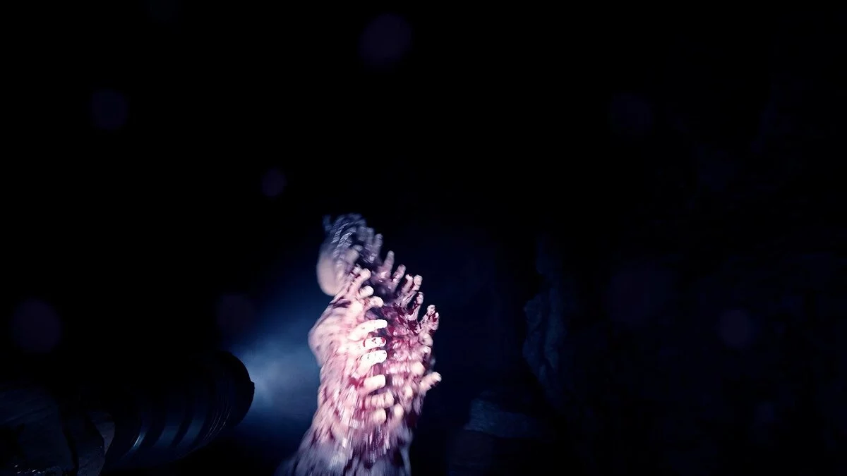 Sons of the Forest - Красиво, но очень опасно