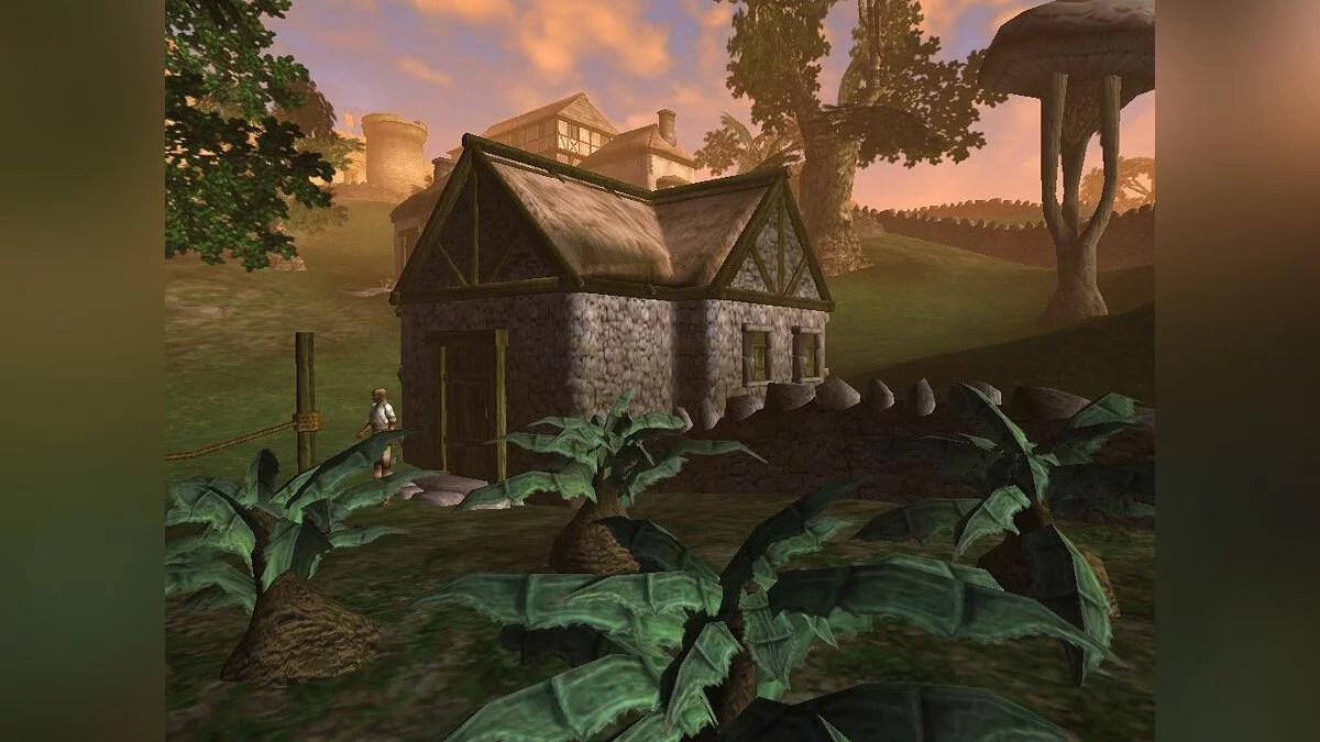 Скриншоты из Elder Scrolls 3: Morrowind / Картинка 59