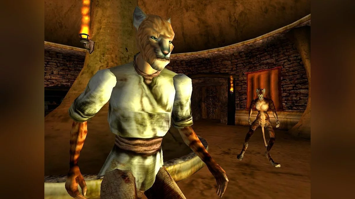 Скриншоты из Elder Scrolls 3: Morrowind / Картинка 79