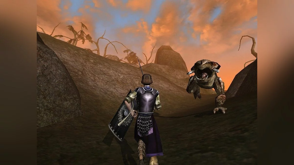 Скриншоты из Elder Scrolls 3: Morrowind / Картинка 86