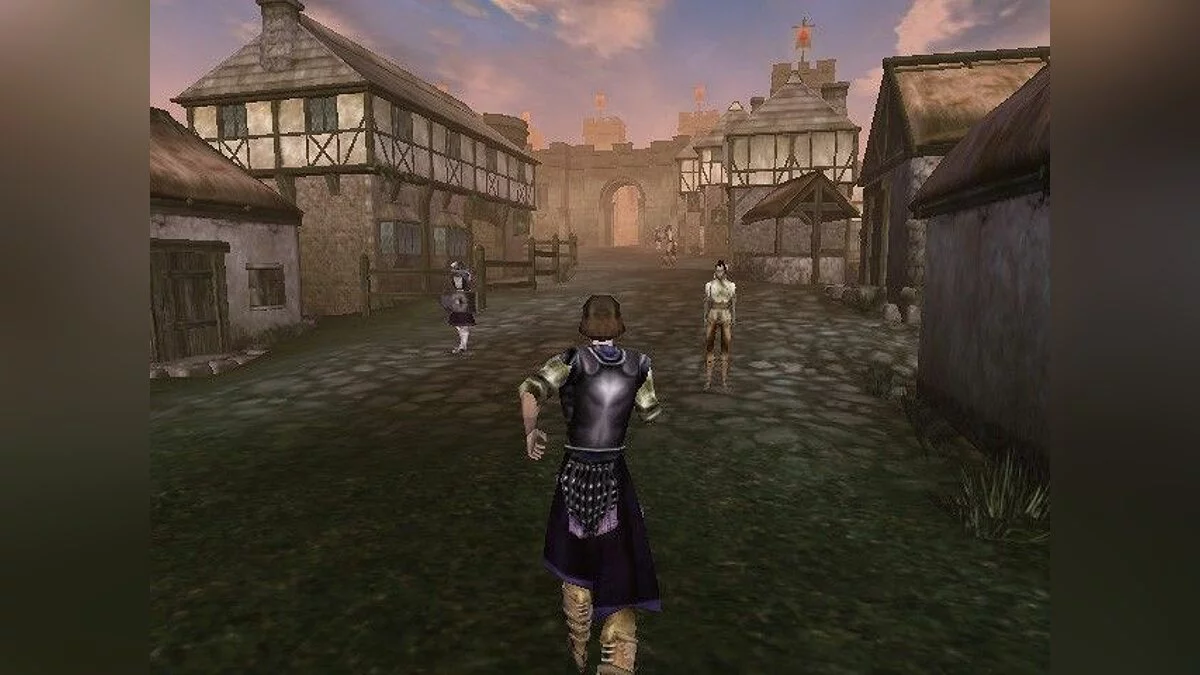 Скриншоты из Elder Scrolls 3: Morrowind / Картинка 19