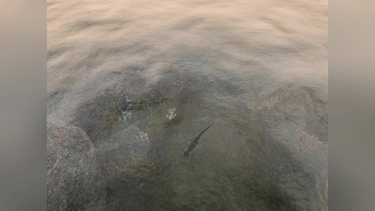 Скриншоты из Elder Scrolls 3: Morrowind / Картинка 48