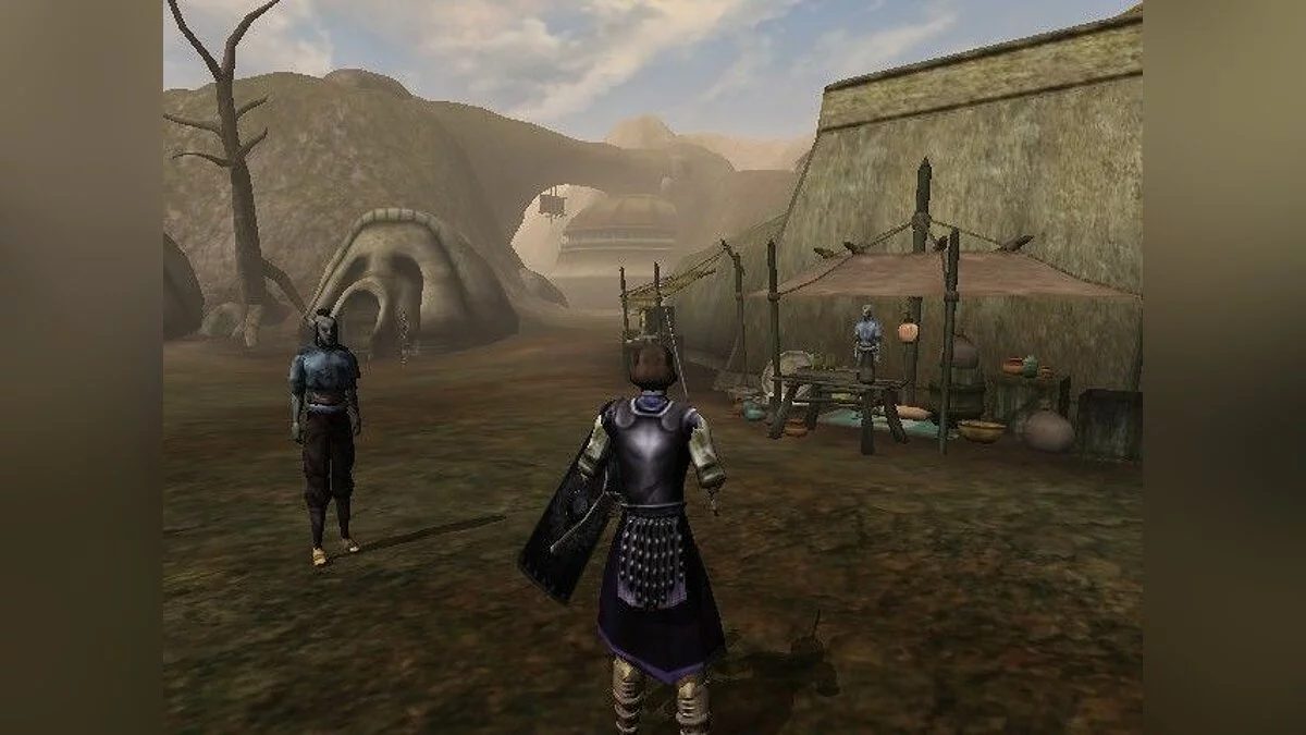 Скриншоты из Elder Scrolls 3: Morrowind / Картинка 33