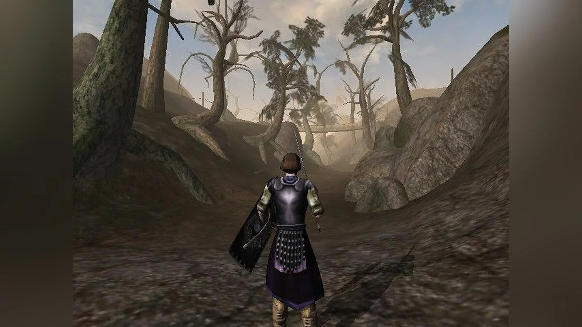 Скриншоты из Elder Scrolls 3: Morrowind / Картинка 34