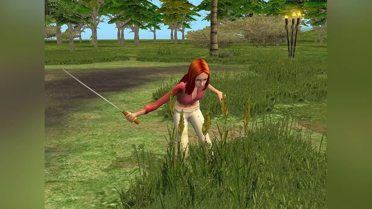 Картинка из 