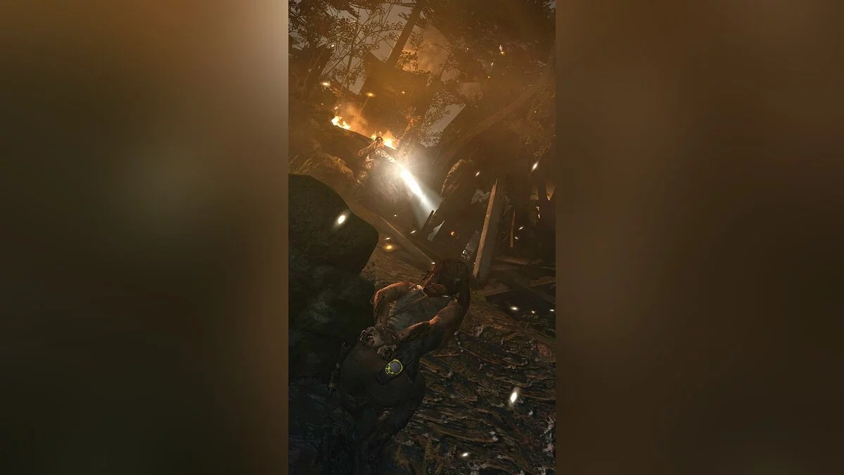 Скриншоты из Tomb Raider / Картинка 26