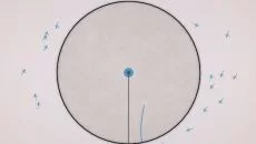 Eufloria - дата выхода для Linux