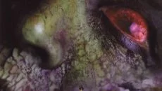 Fear - дата выхода для PlayStation 2