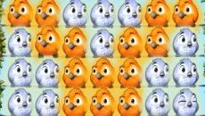 Fluffy Birds - дата выхода для iPad