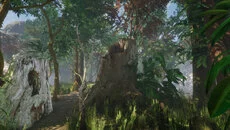 Forest (1983) - дата выхода