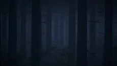 Image - дата выхода для PC-98