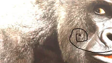 Monkey Business (1986) - дата выхода для Commodore 64