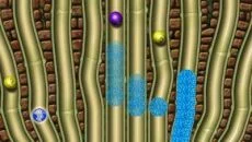 Splash - дата выхода для Mac