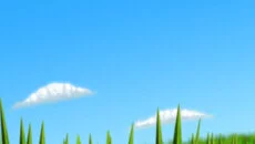 Tumblebugs - дата выхода для J2ME