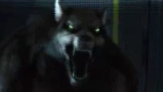 Infinity Runner - дата выхода для Linux