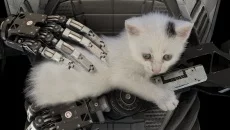 Talos Principle - дата выхода для Linux