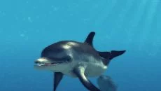 Depth Hunter 2: Deep Dive - дата выхода для Android