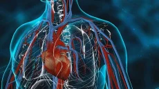 Bio Inc. - дата выхода для Android