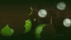 Ecotone - дата выхода для Linux