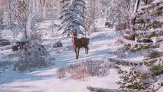 Bottle - дата выхода для PC