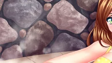 Summer Fling - дата выхода для PC