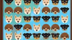 Puppy Playmate Match 3 - дата выхода для Android