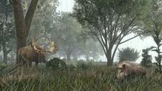 Life is Feudal: Forest Village - дата выхода для Mac
