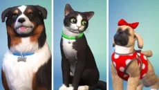 Sims 4: Cats & Dogs - дата выхода для Mac
