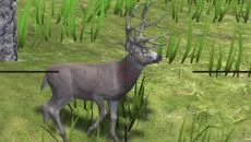 Deer Hunter Reloaded - дата выхода для PC