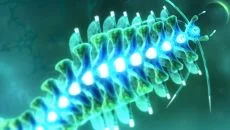 Sparkle 3 Genesis - дата выхода для PC