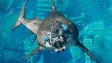 Last Tide - дата выхода для PC