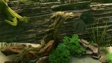 Biotope - дата выхода для Mac